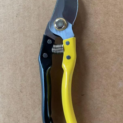 Cheaper Price Good Quality Best Garden Shears